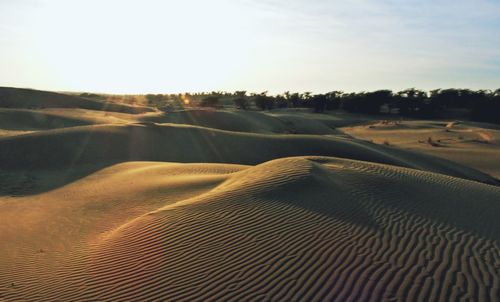 Surface level of sand dunes against sky