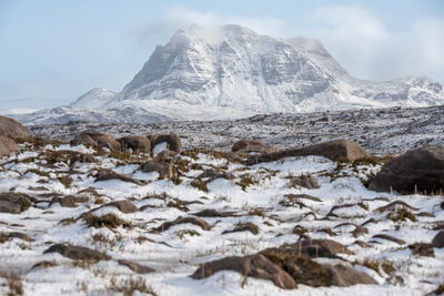 Winters walk