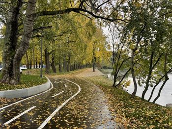 Autumn road amidst trees