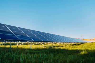 renewable energy