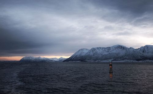 Rear view of man standing in sea against sky