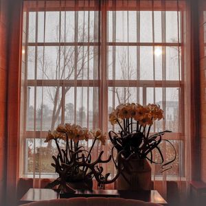 Flower vase against window at home