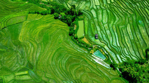 Aerial view of landscape