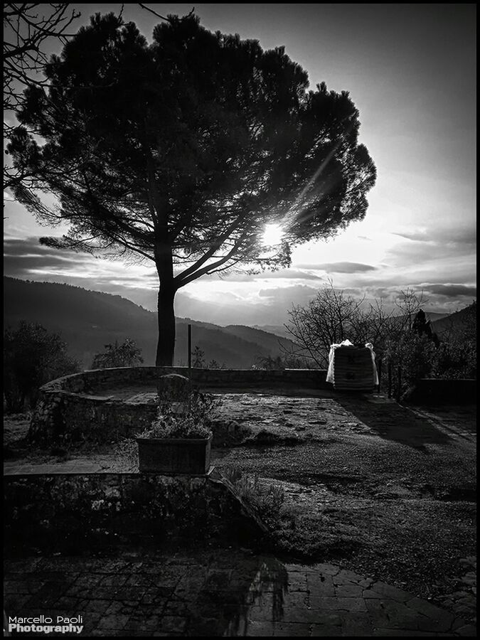 tree, sky, transfer print, auto post production filter, sunlight, building exterior, built structure, sunset, architecture, nature, outdoors, tranquility, silhouette, no people, road, sun, shadow, tranquil scene, street, sunbeam