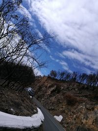 Low angle view of tree against sky