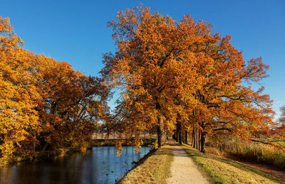 Beautiful nature in netherlands