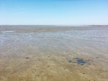 Scenic view of beach against clear sky