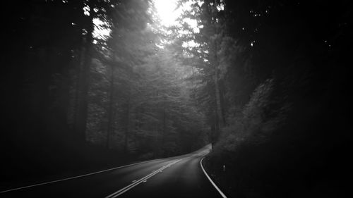 Road in forest