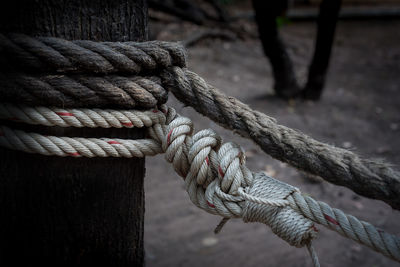 Close-up of rope tied on wooden post