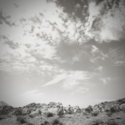 Low angle view of trees on mountain against sky