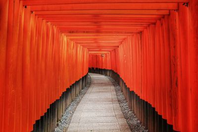 Narrow pathway along trees