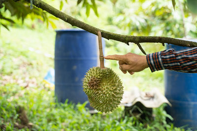 Man working on plant