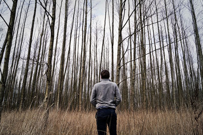 Rear view of man standing against bare trees in forest