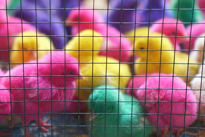 Full frame shot of colorful chicks in cage