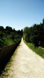 Empty road along trees and plants against sky