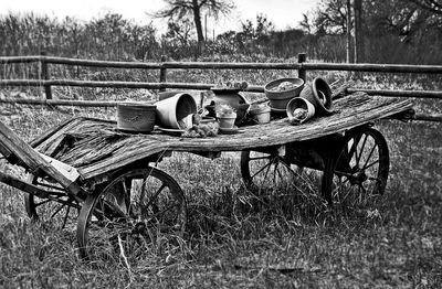 Empty bench on grassy field