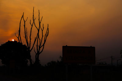 Silhouette of tree against orange sky