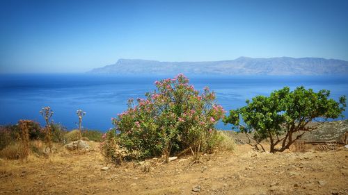 Scenic view of calm sea against clear sky