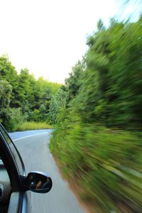 Blurred motion of trees seen through car windshield