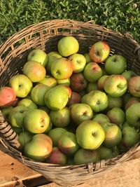 High angle view of apples in basket