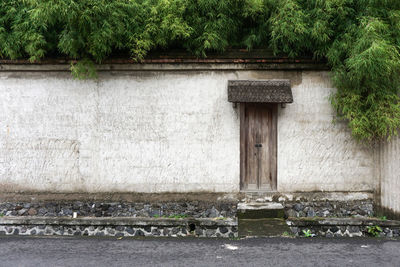 Plants against building