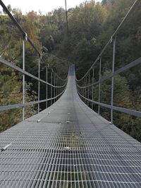 View of footbridge in forest