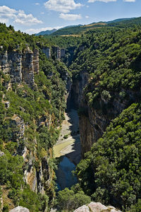 environment