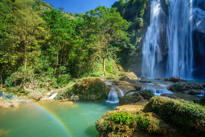 Waterfall in forest