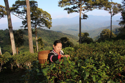 Woman smiling while standing on tree mountains