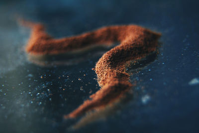 Close-up of cocoa powder on table