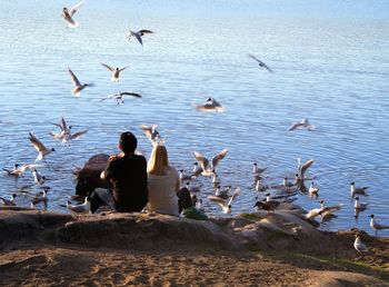 Rear view of couple sitting at rocky shore