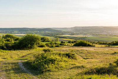 Scenic view of field against clear sky