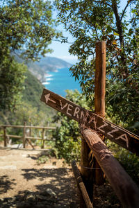 Sign on tree trunk against sky
