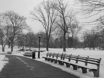 Snow covered bare trees against sky
