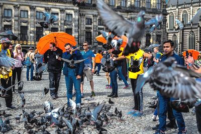 People by pigeons on street in city