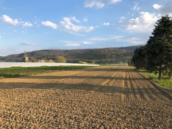 Scenic view of field against sky