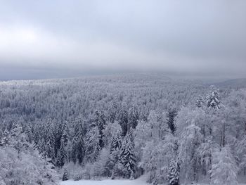 Scenic view of snow covered field against sky