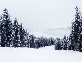 Scenic view of snow covered landscape