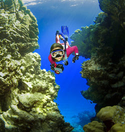 Freediver is between blocks of coral reef