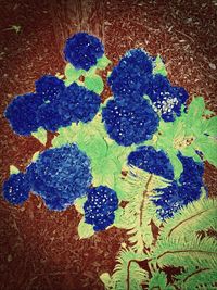 Close-up of multi colored painting