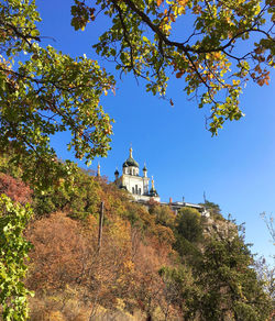 Low angle view of trees and building against sky