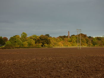 Trees on landscape against the sky