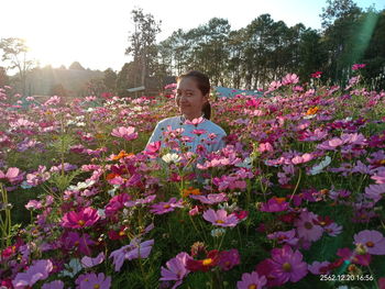 Portrait of pink flowering plants on land