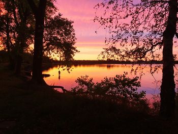 Silhouette trees by lake against sky during sunset
