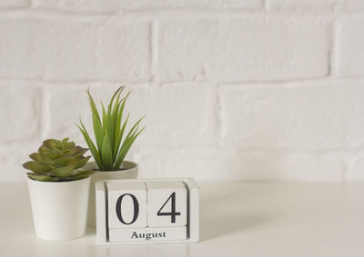 Close-up of potted plant against wall