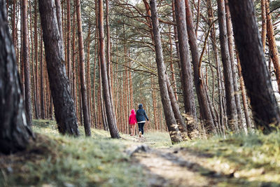 Summer vacation trip close to nature. family walking in forest. people actively spending time