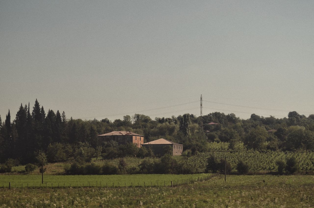 SCENIC VIEW OF AGRICULTURAL LANDSCAPE AGAINST SKY