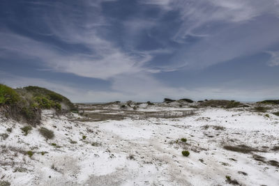 Landscape photograph of the sand dunes at deer lake state park, south walton county, florida.