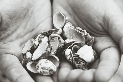 Close-up of hand holding flower