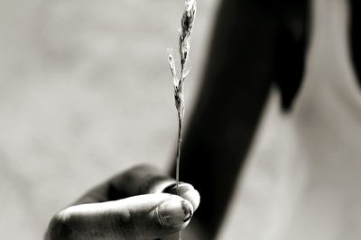 Close-up of cropped hand